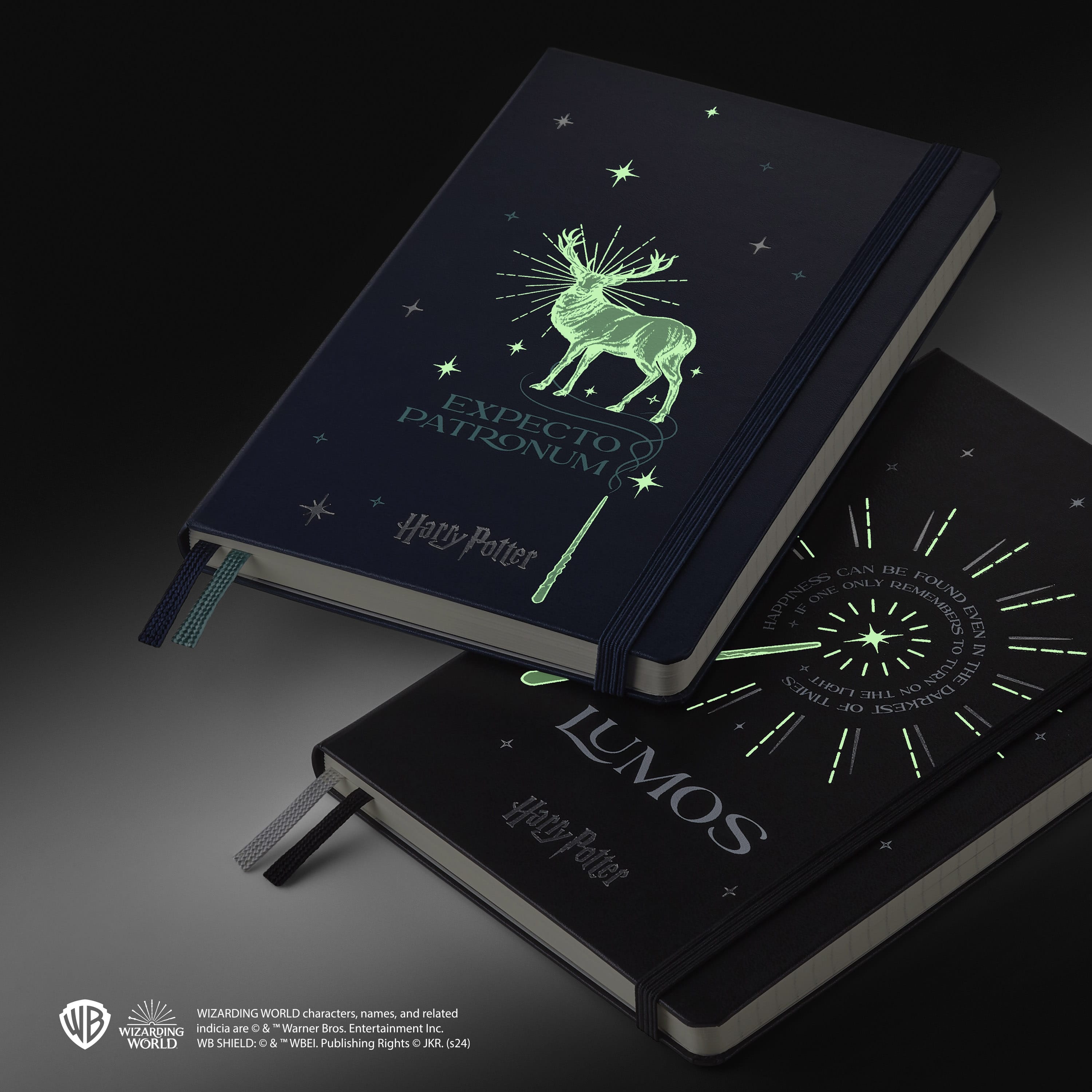 Wizarding World Harry Potter Limited Edition Notebook Large, ruled, hard cover